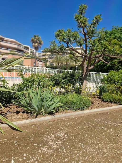 Appartement Vue Mer Sur Les Hauteurs De Nice Luaran gambar