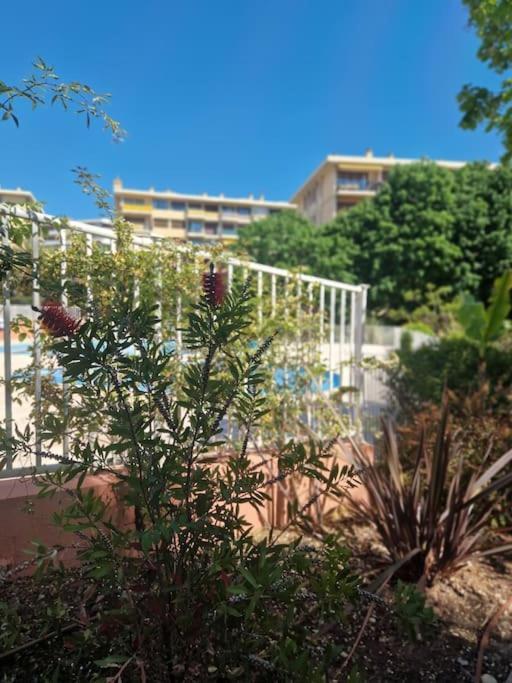 Appartement Vue Mer Sur Les Hauteurs De Nice Luaran gambar